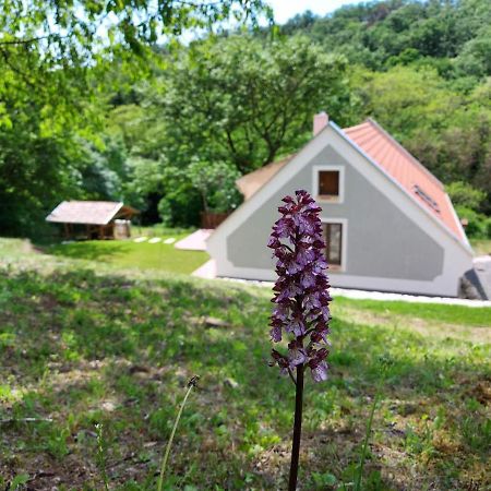 Kosbor Vendeghaz Apartment Monoszlo Екстериор снимка