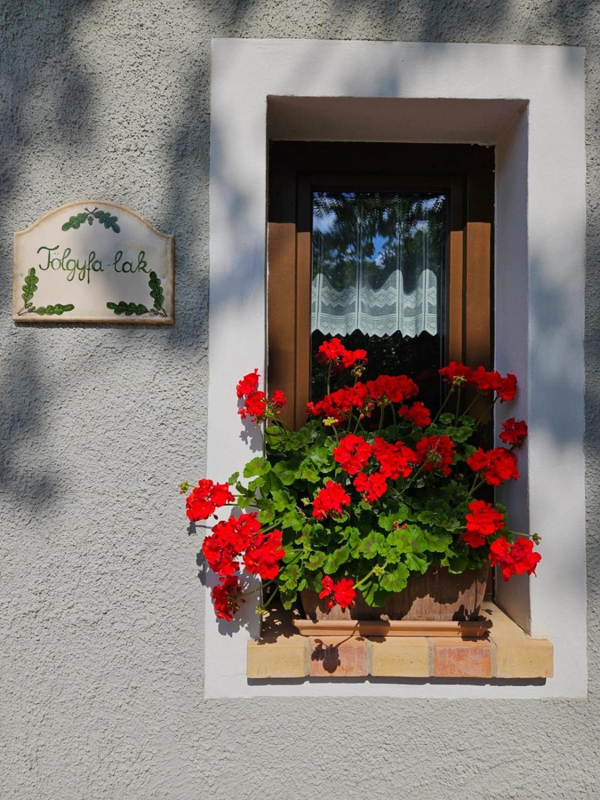 Kosbor Vendeghaz Apartment Monoszlo Екстериор снимка